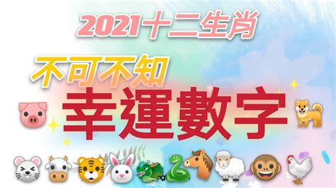 2023生肖手機顏色|十二生肖「幸運數字、幸運顏色、大吉方位」！跟著做。